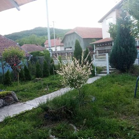 Apartmani Lina Ribarska Banja Bagian luar foto